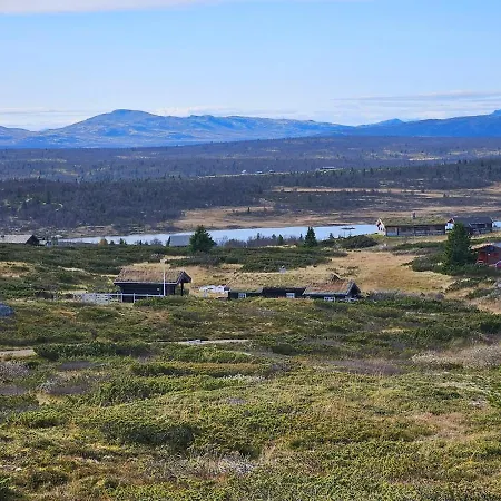 Varden Sor-Fron